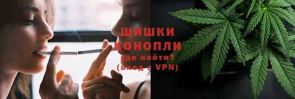 альфа пвп Медногорск