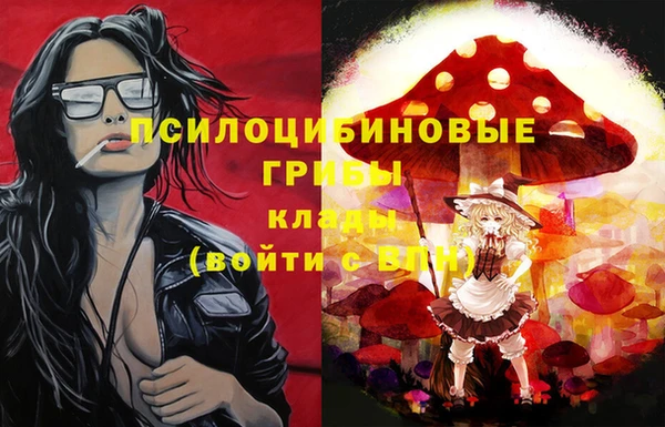 a pvp Медвежьегорск