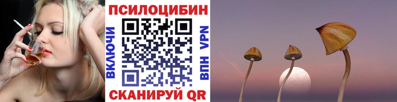 kraken вход  Подольск  Псилоцибиновые грибы мицелий 