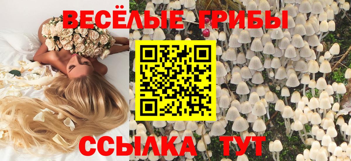 Псилоцибиновые грибы Psilocybe Подольск