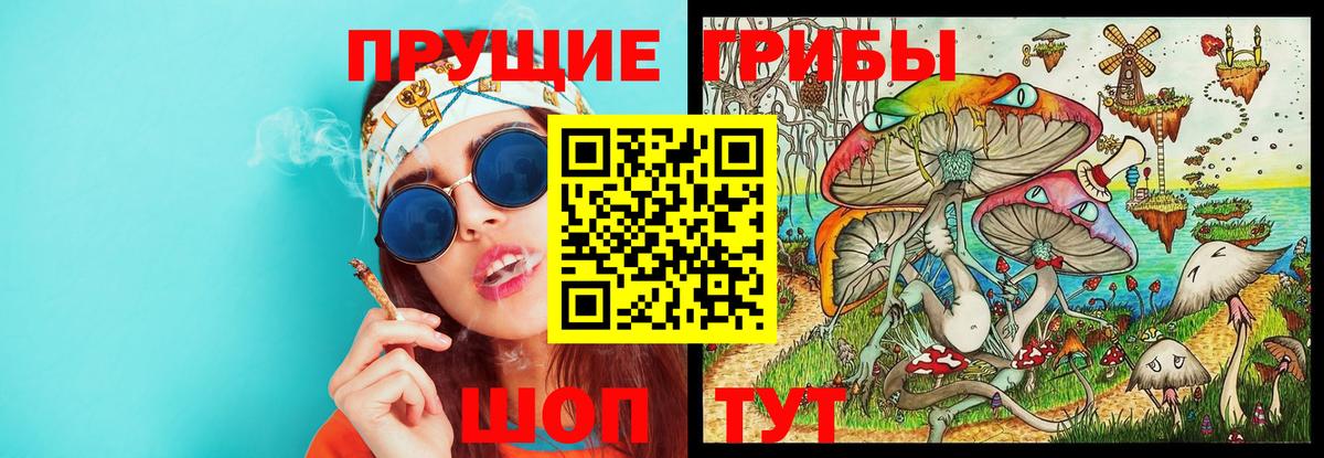 Псилоцибиновые грибы мухоморы  Вход с VPN  Подольск 